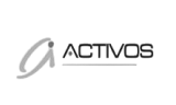 Activos : Activos